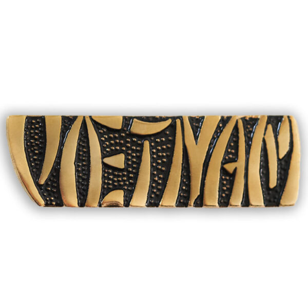 Vietnam Pin